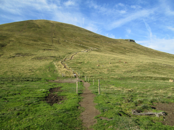 Début du sentier