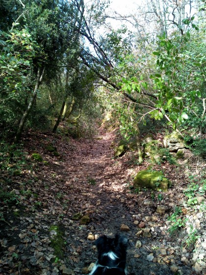 D&eacute;but du sentier