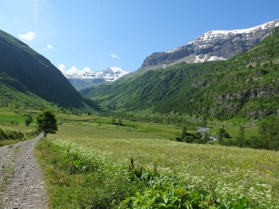 Début du vallon