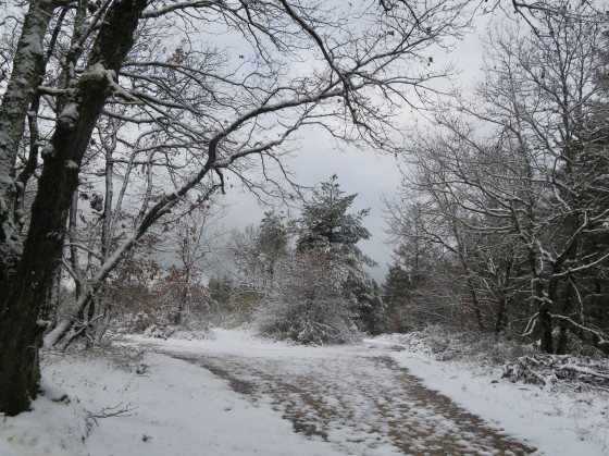 Décor hivernal