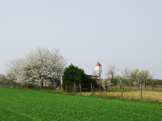 Découvrir la diversité des paysages de Vineuil