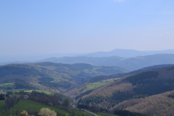 D&eacute;grad&eacute;