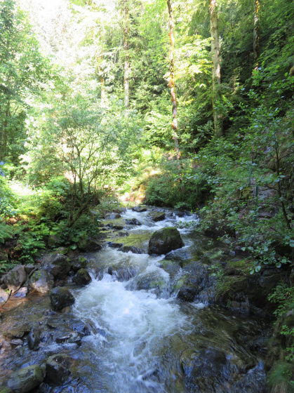 Démarrage de la randonnée en longeant le ruisseau \