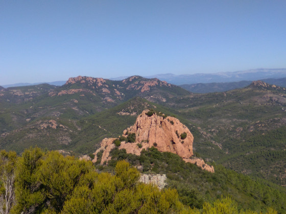 Dent de l'ours