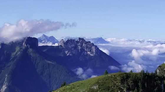 Dent du Cruet depuis Tete Noire