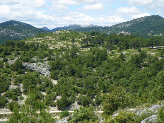 Dentelles de Montmirail