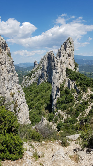 Dentelles