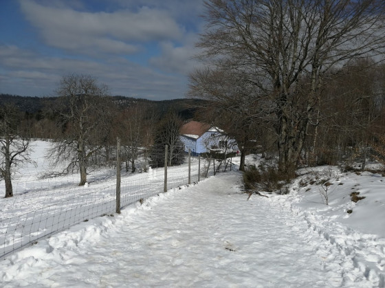 Départ à la Maison Forestière