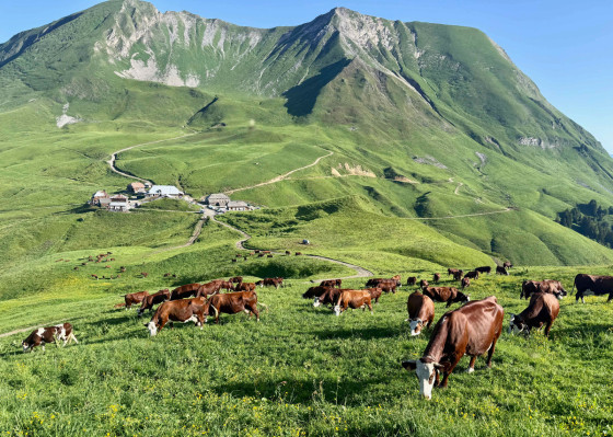 Départ Col des Annes