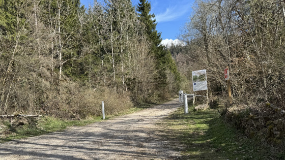 Départ de la balade