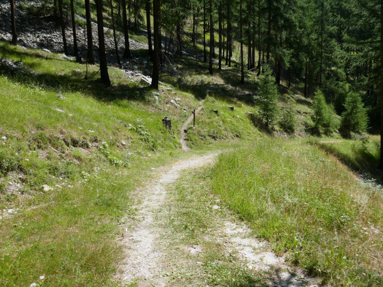 Départ de la variante par sentier supérieur