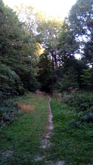 Départ de sentier