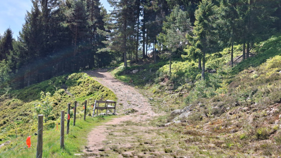 d&eacute;part direction la Schlucht