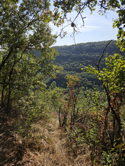 Vers cascade