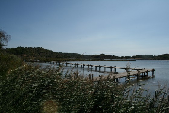 Départ du chemin de planches