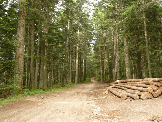 Départ du GR7