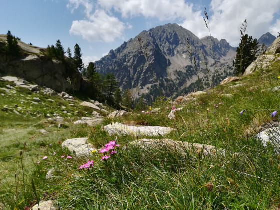 Départ du lac de Trécolpas