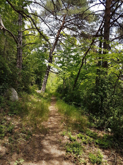 Départ du Mas