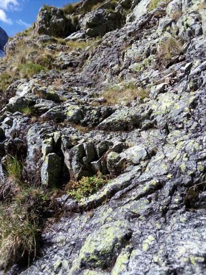 D&eacute;part du sentier au dessus du chalet