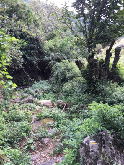 Départ du sentier aux Gayots