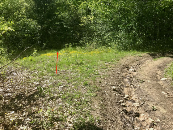 Départ du sentier vers la cascade de Choses