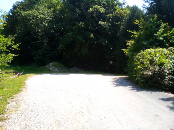 Départ en sous-bois
