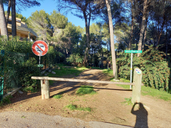 Départ sentier forestier