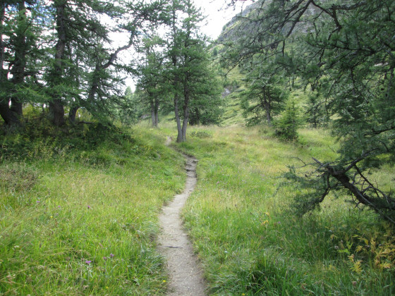 Départ sentier rive gauche