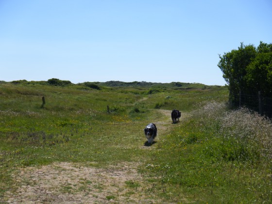 Départ