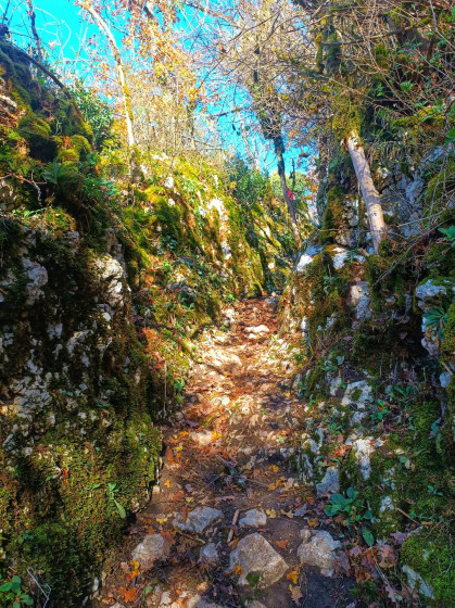 D&eacute;part