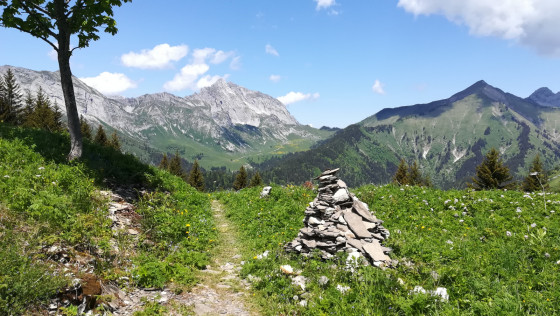 depuis Combe Fort