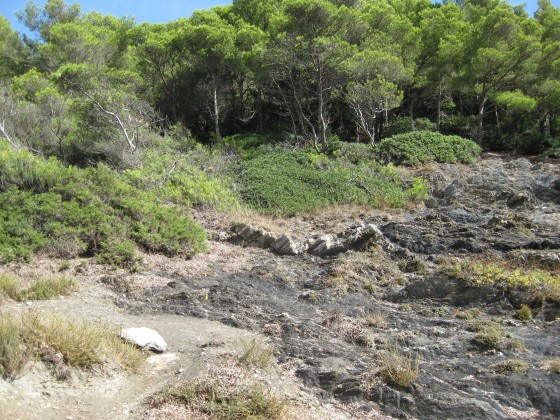 Depuis la plage de l’Escampo-Barriou