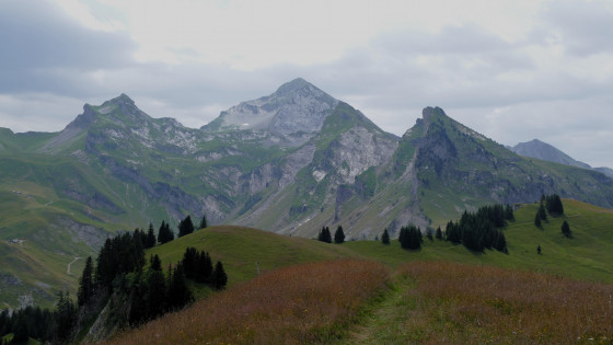 Depuis la pointe d'Orsière