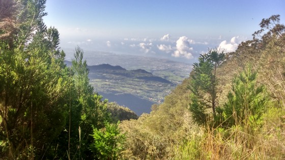 Depuis la Route Forestière de la Scierie