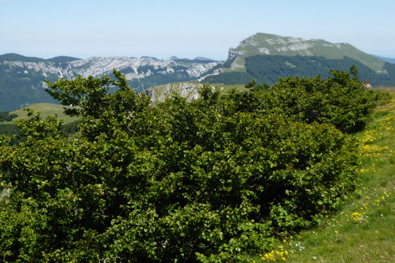 Depuis la Tête de la Dame