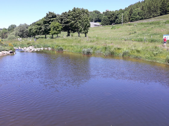Depuis le petit pont sur le Lignon