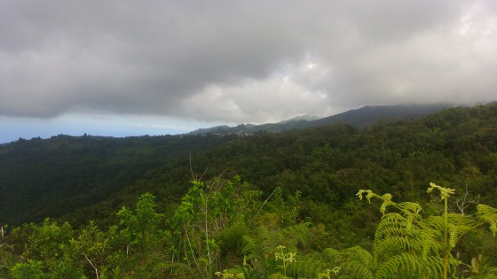 Depuis le Piton la Croix