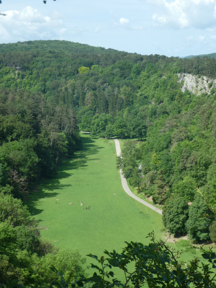 Depuis le point de vue du Rocher de Griffaloux