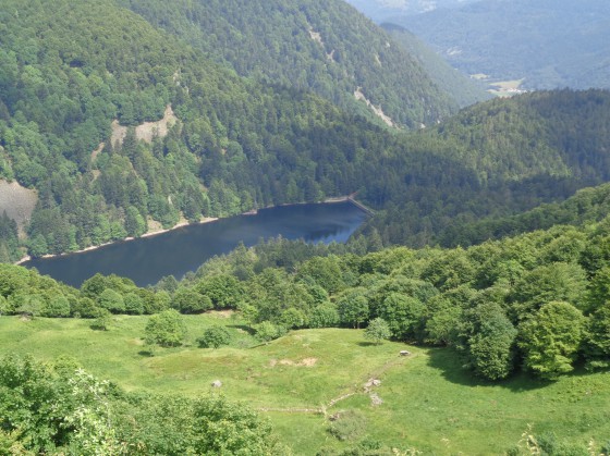 Depuis le Rainkopf
