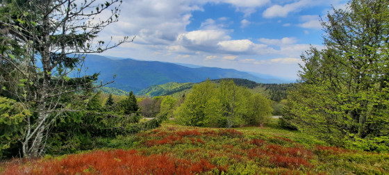 DEPUIS LE SENTIER DU RETOUR
