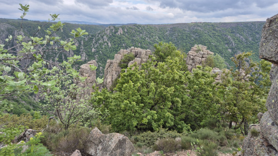 Depuis les hauteurs avant de descendre sur les gorges du Chassezac