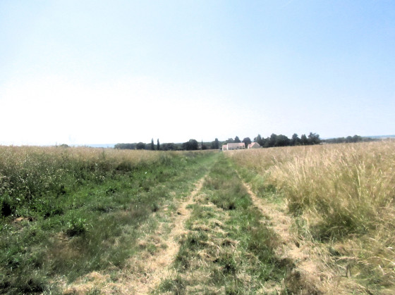 Dernier chemin avant l'arriv&eacute;e&nbsp;!