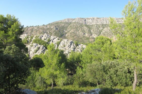 Dernier coup d'oeil sur la cr&ecirc;te