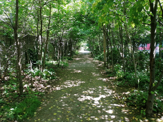 Dernier parc Dernier parc