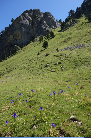 Dernier raidillon