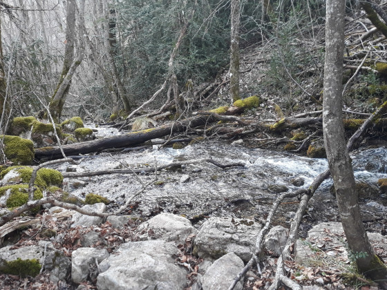 Dernière cascade avant la chapelle