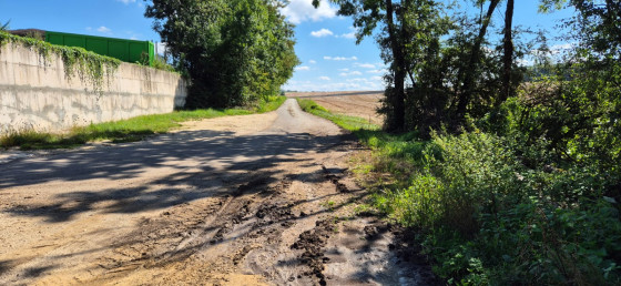 Dernière ligne droite
