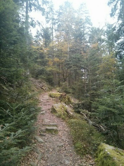 Dernière montée avant l\'Ungersberg