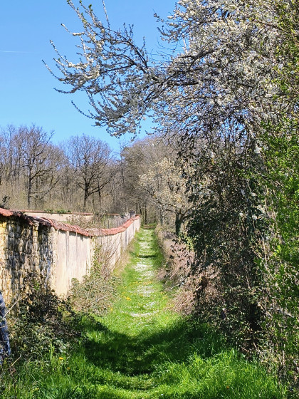 Dernière montée