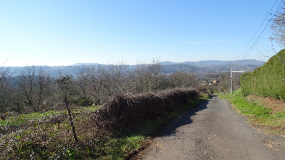 Dernière vue